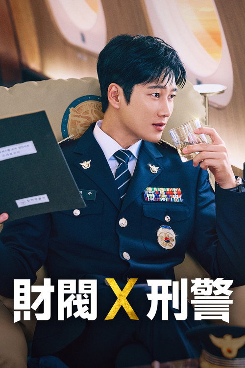 财阀X刑警 第2季