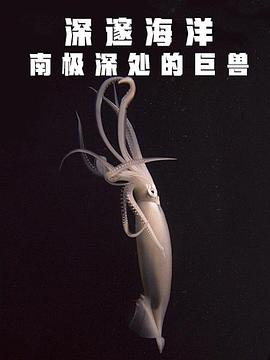 深邃海洋 南极深处的巨兽